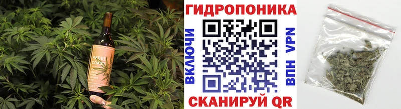 где продают наркотики  Назарово  Cannafood конопля 