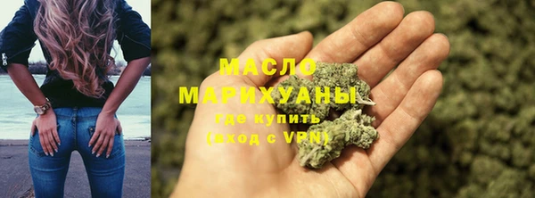 амф Верхний Тагил