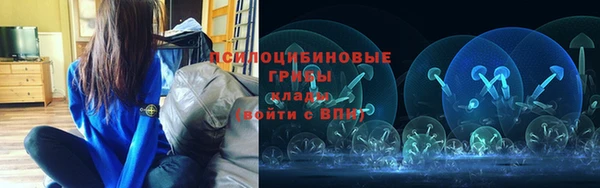 сатива Верея