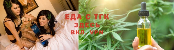 амф Верхний Тагил