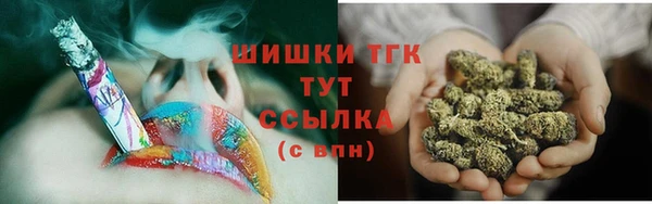 сатива Верея