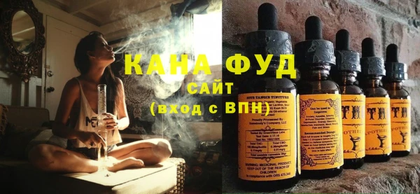 амф Верхний Тагил