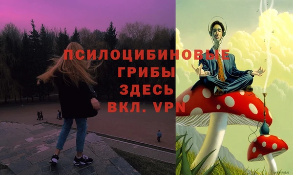соль ск Верхнеуральск