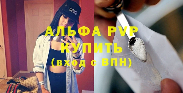 амф Верхний Тагил